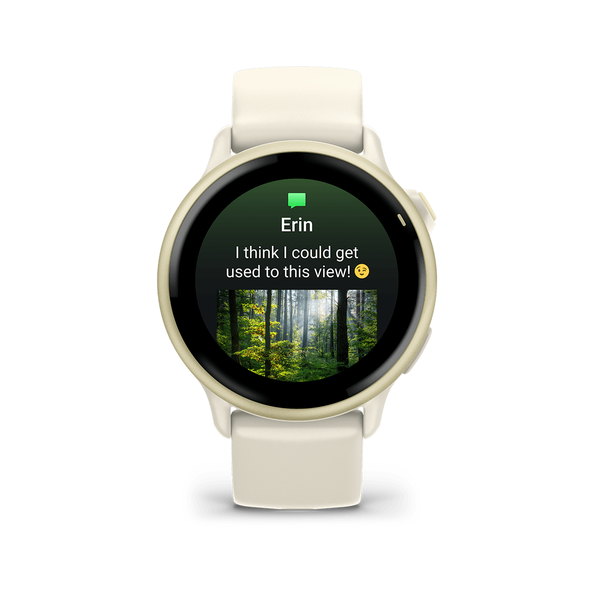 Vivoactive 6